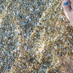 Photo taken by Patricia K