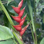 Photo taken by Matt P