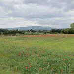 Photo taken by jane p