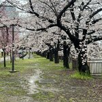 Photo taken by Kirti P