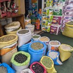 Photo taken by John P