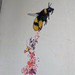 Photo taken by Sarina H