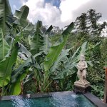 Photo taken by Alexandra G