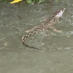 Photo taken by William Scott S