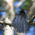 Photo taken by Dawne D