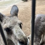 Photo taken by Cindy H