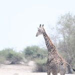 Photo taken by John B