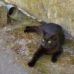 Photo taken by Brenda J