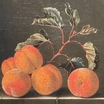 Photo taken by Shannon F