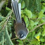 Photo taken by Don P