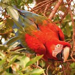 Photo taken by Dennis H