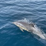 Photo taken by Kaisha S