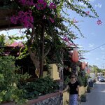 Photo taken by Anne marie M