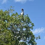 Photo taken by Martina D