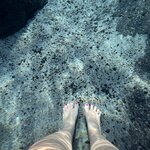 Photo taken by Cathy W