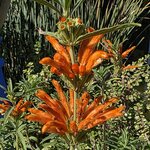 Photo taken by Shelley H