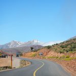 null | Photo taken by Wayne P