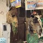 Photo taken by Mark W