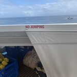 Photo taken by Jane V