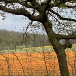 Photo taken by Shannon F