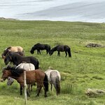 Photo taken by Amit J