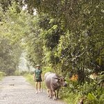 Photo taken by Jacqui O