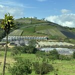 Photo taken by Harshida P