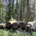 Photo taken by Marcos M