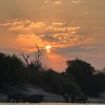 Photo taken by Janie W