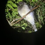 Photo taken by Bonnie Y