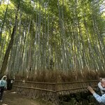 Photo taken by Kirti P