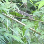 Photo taken by Anna L