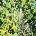 Photo taken by Blair H