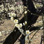 Photo taken by Hanna W