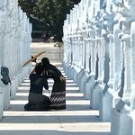 Photo taken by shelly s