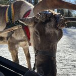 Photo taken by Beth M