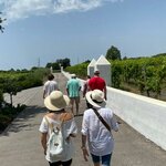 Photo taken by Carole D