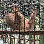 Photo taken by Roveen B