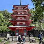 Photo taken by PADMABEN P