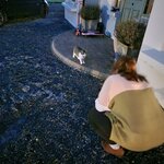 Photo taken by Kerrick M