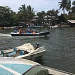 Photo taken by Vicky V