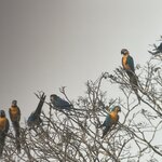 Photo taken by Shanthi V