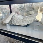 Photo taken by Martin L