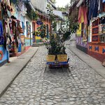 Photo taken by Bincy P