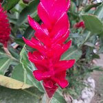 Photo taken by Linda P