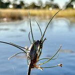 Photo taken by Tom B