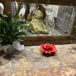 Photo taken by Bailey R