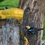 Photo taken by Graeme W