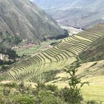 Pisac terraces - the condor and the burial grounds | Photo taken by Susan D