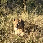 Photo taken by rhonda c